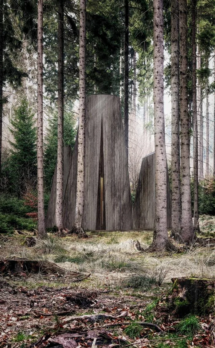 BIM Architecture | [Speech Scene] Taking Retreat as Progress/Wang Jianfeng