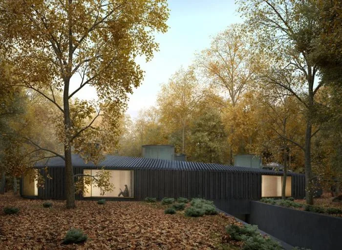 BIM Architecture | The 'Bird's Nest' hovering in the forest: Long Island Wooden House 2.0/Marchi Architects