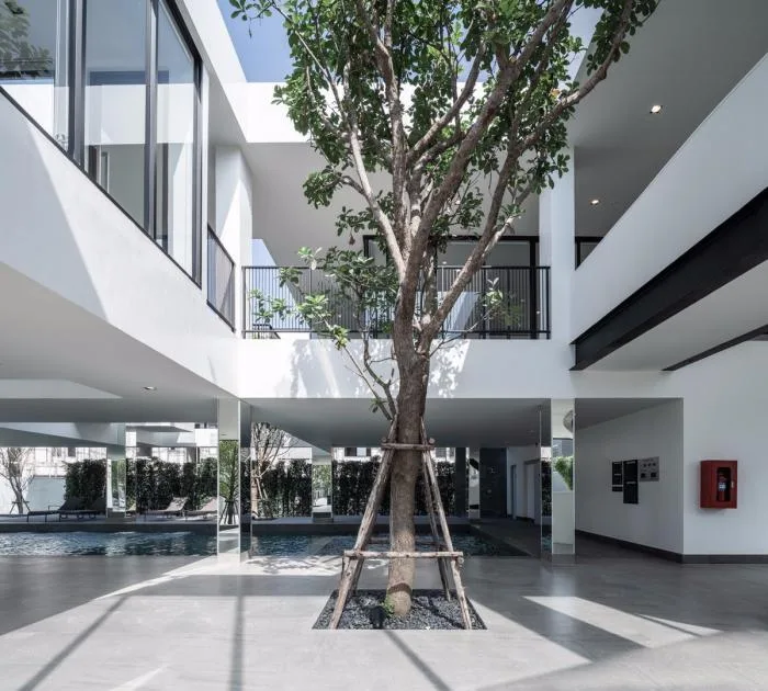 BIM Architecture | Associated Press Plano Law Hall Lansett Club Building/ForX Design Studio