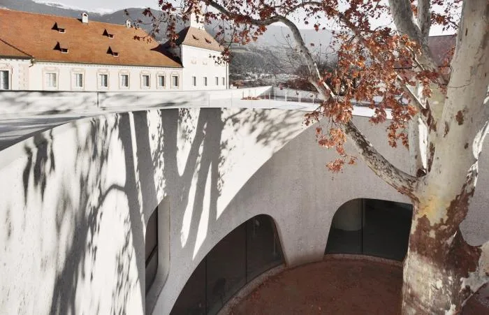 BIM Architecture | Integrating Classical and Mischievous Flying - Tourist Center Embracing Old Trees/MoDusArchitects