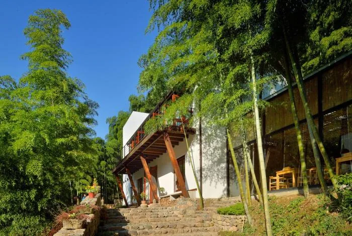 BIM Architecture | Hangzhou Bodhi Valley Resort Homestay/China Academy of Art Landscape Architecture Design and Research Institute