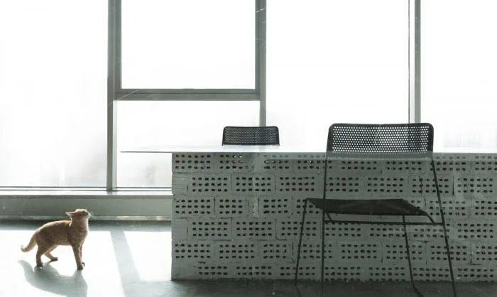 BIM Architecture | A Dialogue with Materials, Continuing the Space Journey of Memories/Bedfield Space Design Firm