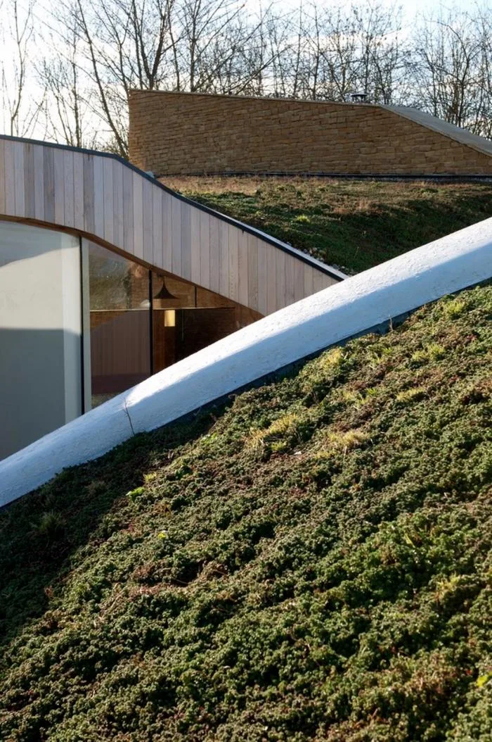 BIM Architecture | Duo Dance in Rural Scenery: British Sedum House/Featherstone Young