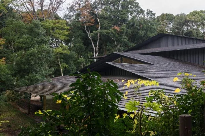 BIM Architecture | Like Falling Leaves, Hidden in the Forest: Meiji Shrine Museum/Kengo Kuma Architecture Urban Design Firm, Japan