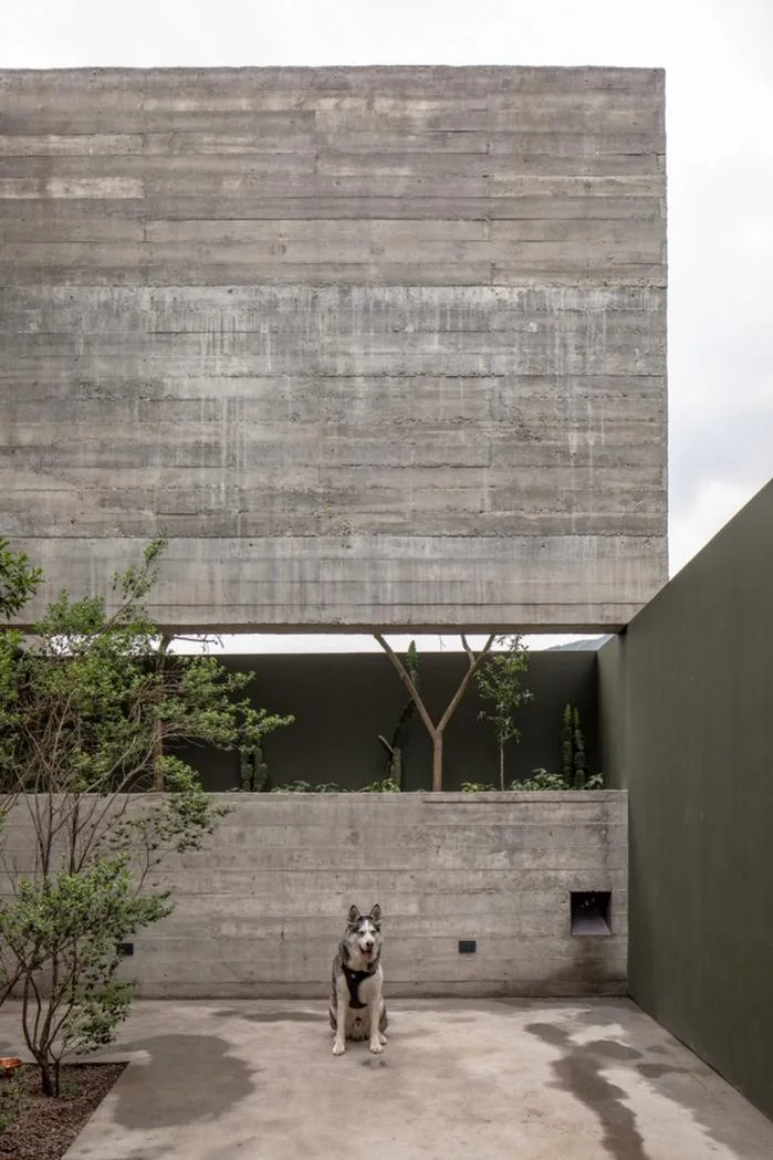 BIM Architecture | Unfinished Ruins - Mexican Eight Beam House/Covachita Taller