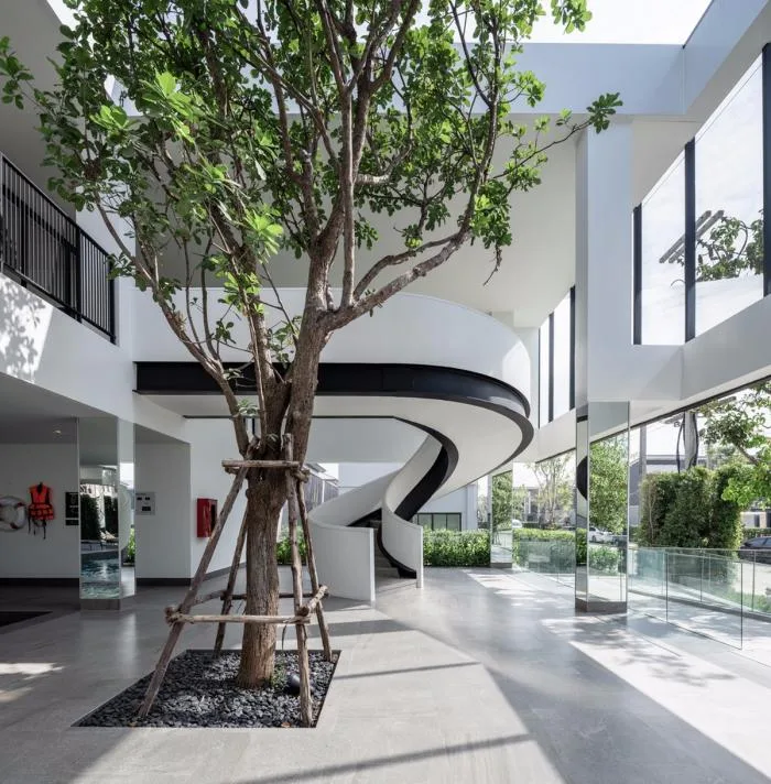 BIM Architecture | Associated Press Plano Law Hall Lansett Club Building/ForX Design Studio