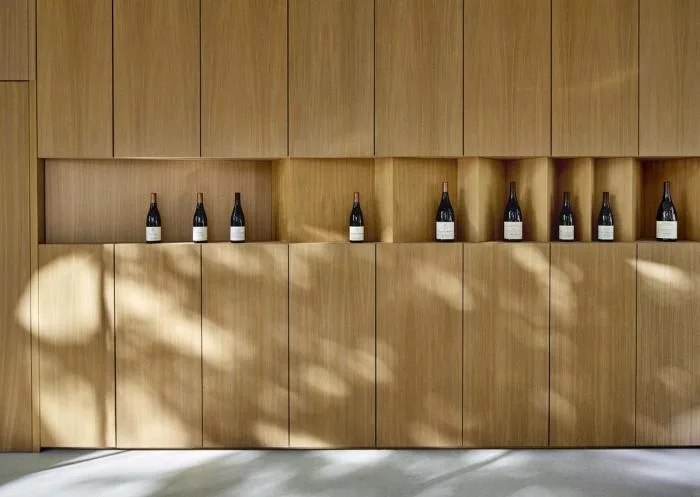 BIM Architecture | Soft and undulating white waves: Chateau de la Roche Brothers