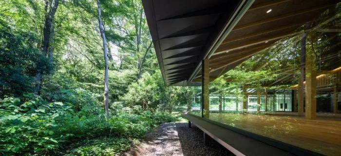 BIM Architecture | Like Falling Leaves, Hidden in the Forest: Meiji Shrine Museum/Kengo Kuma Architecture Urban Design Firm, Japan
