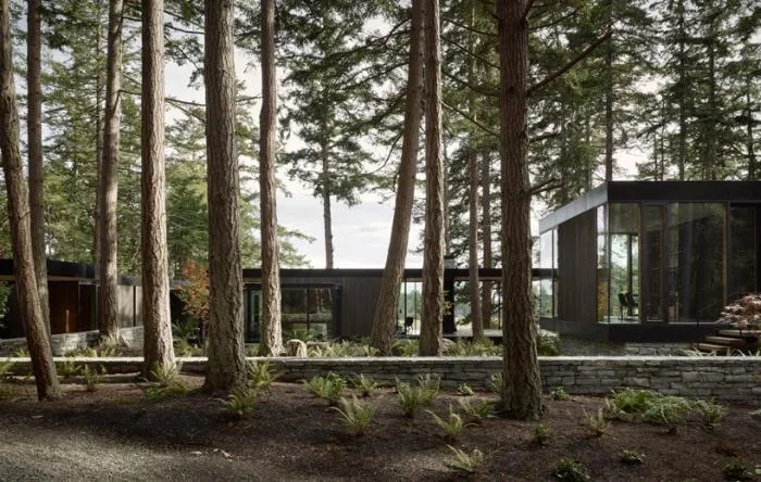 BIM architecture | Farm vacation homes in the forest/mwworks