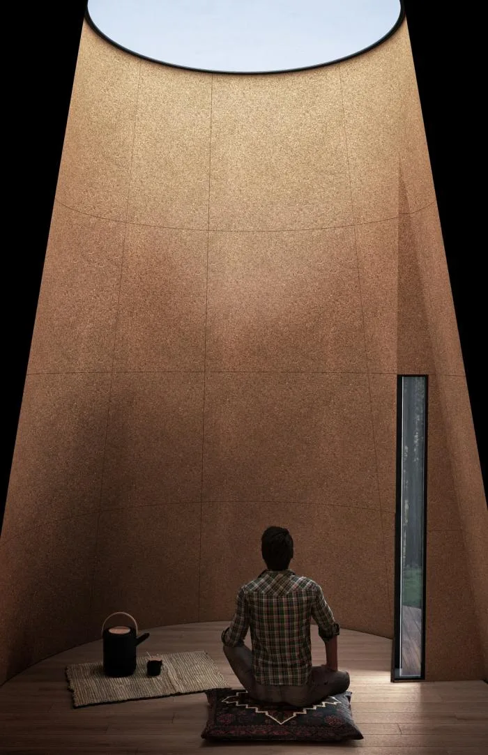 BIM Architecture | [Speech Scene] Taking Retreat as Progress/Wang Jianfeng