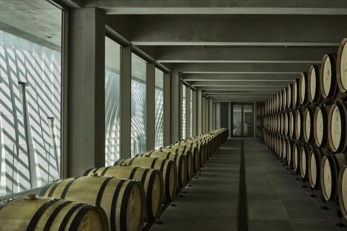 BIM Architecture | Soft and undulating white waves: Chateau de la Roche Brothers