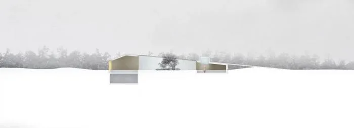 BIM Architecture | The 'Bird's Nest' hovering in the forest: Long Island Wooden House 2.0/Marchi Architects