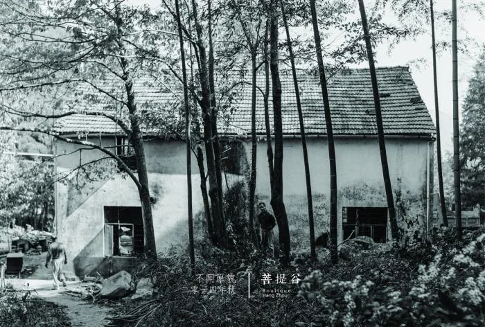BIM Architecture | Hangzhou Bodhi Valley Resort Homestay/China Academy of Art Landscape Architecture Design and Research Institute