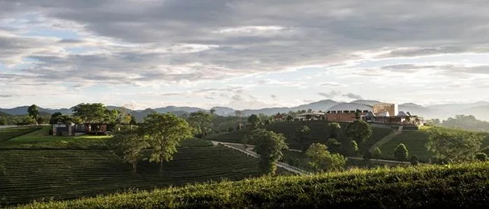 BIM Architecture | Choi Fong Coffee and Tea House No.2, Thailand/IDIN Architects