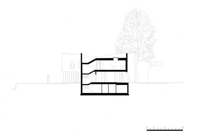 BIM Architecture | Integrating Classical and Mischievous Flying - Tourist Center Embracing Old Trees/MoDusArchitects