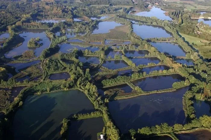 BIM Architecture | Bike Path Through Water/Lens ° ass Architect