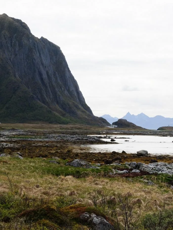 BIM Architecture | Watching the Sea on Folding Concrete: Tourist Center on Chaotic Rock Layers/MORFEUS Arkitekter