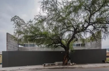 BIM Architecture: The Mexican Eight Beam House by Covachita Taller – Exploring Unfinished Ruins-BIM WORLD