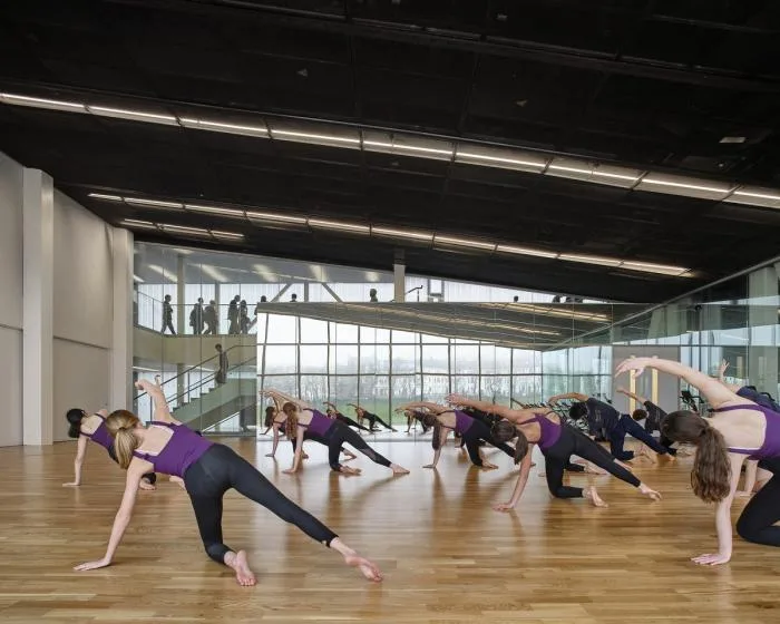 BIM Architecture | Collision of Sports and Scientific Spirit: Brighton College/OMA