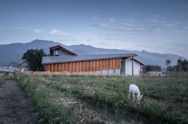 BIM Architecture: Designing a Rural Living Room by Jiaoling Shed and Artificial Architecture Studio-BIM WORLD