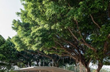 BIM Architecture by Shao Weiyan: The South Gate Bus Stop at Jiaotong University – A Play of Light, Weight, and Layers-BIM WORLD