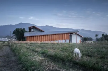 BIM Architecture: Designing a Rural Living Room by Jiaoling Shed and Artificial Architecture Studio-BIM WORLD