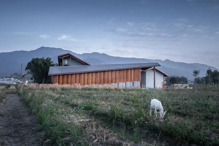 BIM Architecture | Rural Living Room Creation - Jiaoling Shed/Artificial Architecture Studio