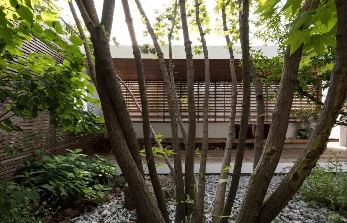 BIM Architecture | Liangyuan/TAOA Tao Lei Architecture