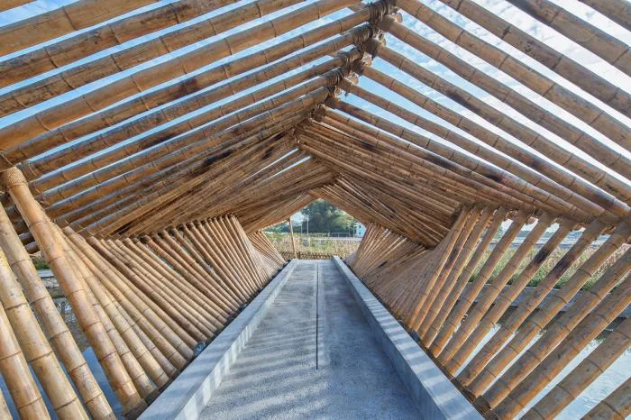 BIM Architecture | Rural Living Room Creation - Jiaoling Shed/Artificial Architecture Studio