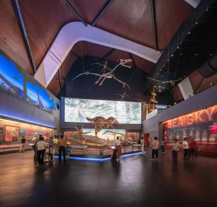 BIM Architecture | National Oceanic Museum of China/COX Architecture Firm