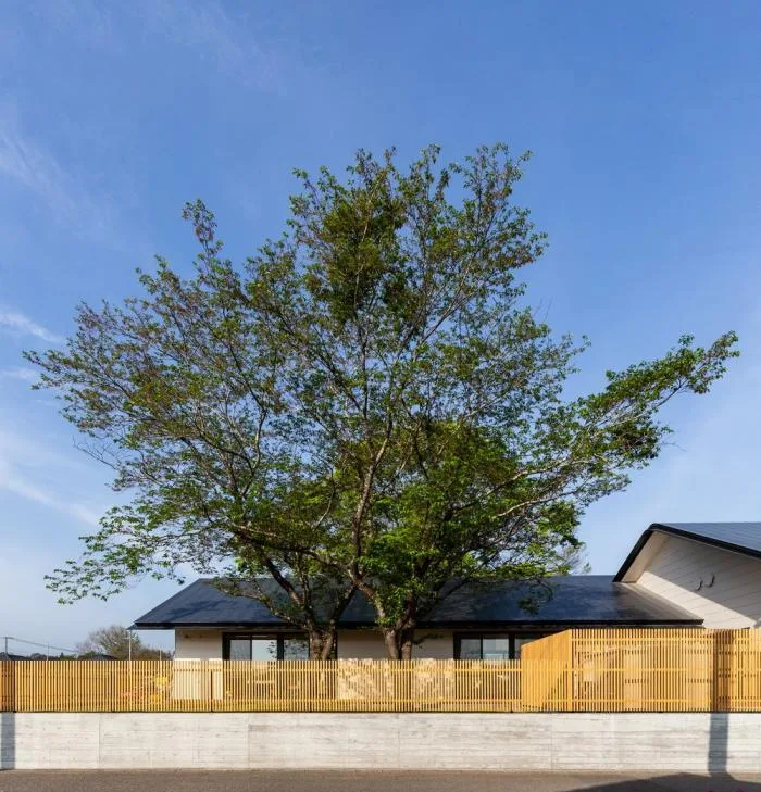 BIM Architecture | Wooden Playground in Children's Paintings, MRN Kindergarten/HIBINOSEKEI+Hibino Design