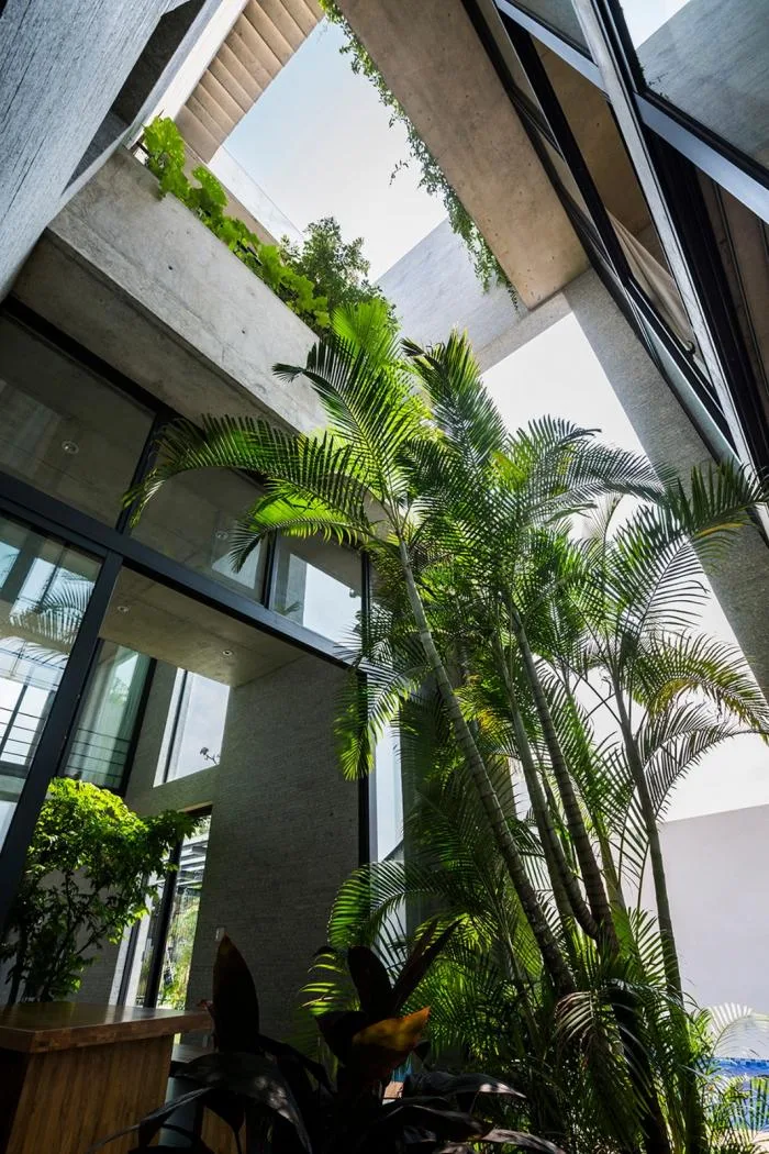 BIM Architecture | Urban 'Tree House', Binh Residential/Wu Chongyi Architectural Firm in Vietnam