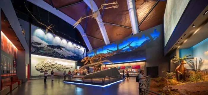 BIM Architecture | National Oceanic Museum of China/COX Architecture Firm