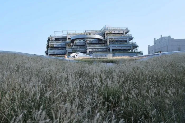 BIM Architecture | Green Hill/Original Design Studio
