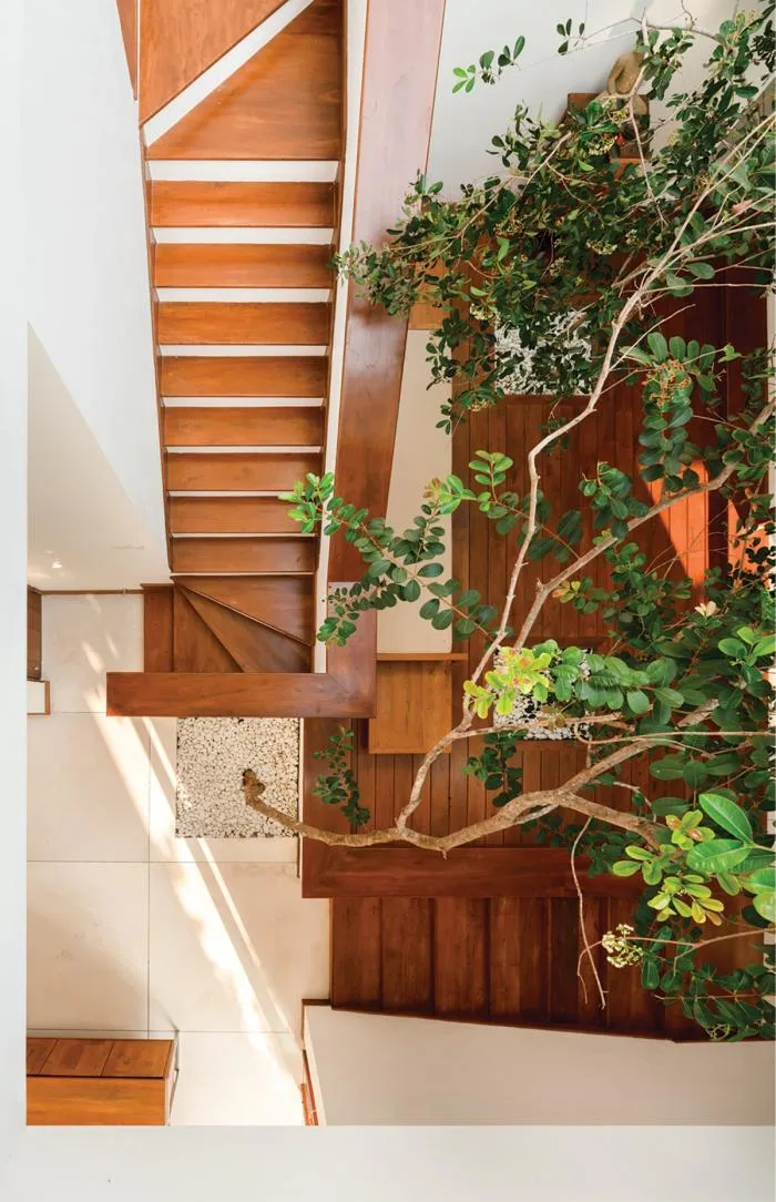 BIM architecture | Rich coffee with latte art - Kodikara Residence in Sri Lanka
