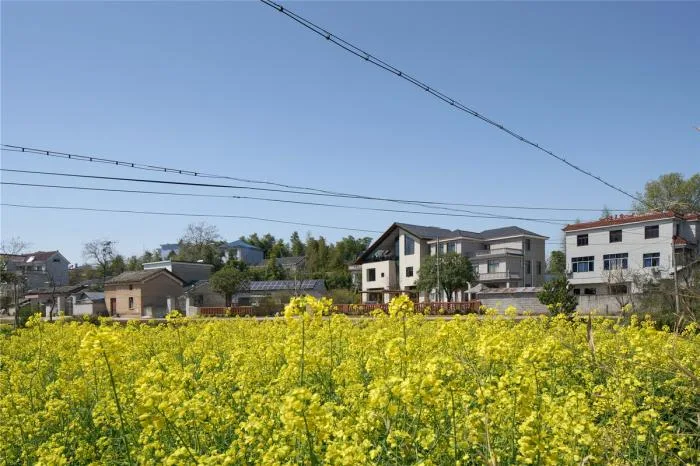 BIM Architecture | Rural Reflection - No. 28 Residence on Longyou Mountain/China Academy of Art Landscape Architecture Design and Research Institute