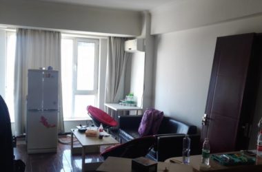 BIM Architecture: Renovating a 46㎡ Beijing Apartment into a Minimalist Space for Single Women Born in the 90s-BIM WORLD