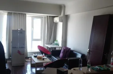 BIM Architecture: Renovating a 46㎡ Beijing Apartment into a Minimalist Space for Single Women Born in the 90s-BIM WORLD
