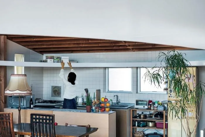 BIM Architecture | Japanese "Elliptical Ceiling" Residential Buildings