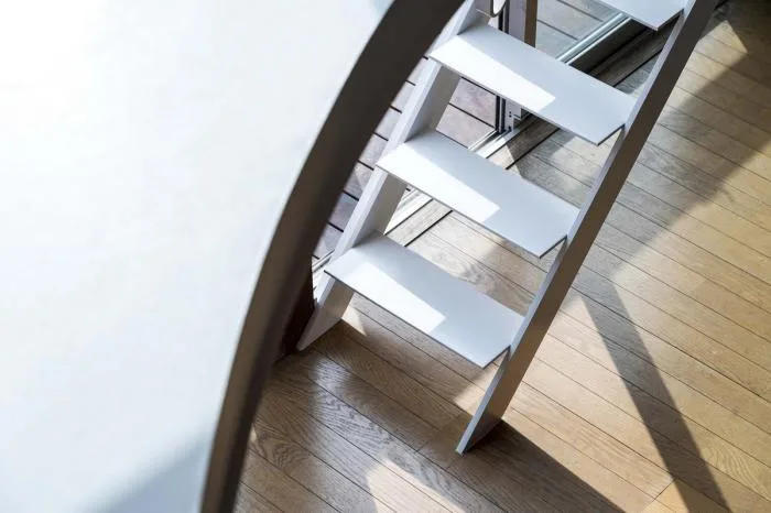 BIM Architecture | Japanese "Elliptical Ceiling" Residential Buildings
