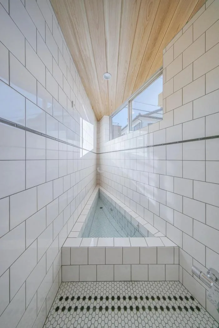 BIM Architecture | 3D Composition of Sloping Roofs and Diagonal Exhibition Walls: Japan 8.5 Residential/DOG