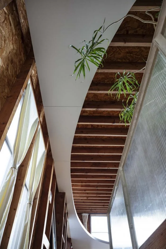 BIM Architecture | Japanese "Elliptical Ceiling" Residential Buildings
