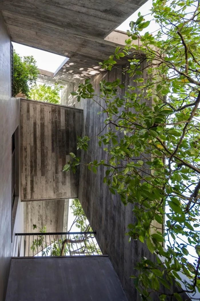 BIM Architecture | Living in the Jungle: Vietnam's 'Five Corner Plan' Tree House/Wu Chongyi Architectural Firm