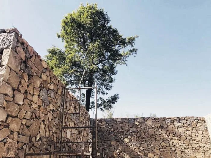 BIM Architecture | Panshe/DK Dake Architectural Design