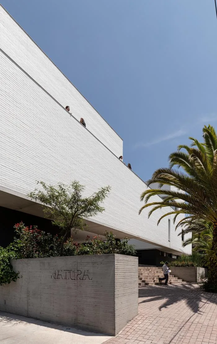 BIM Architecture | Transparent Breathing Under the Surface: Ecuador Natural Building