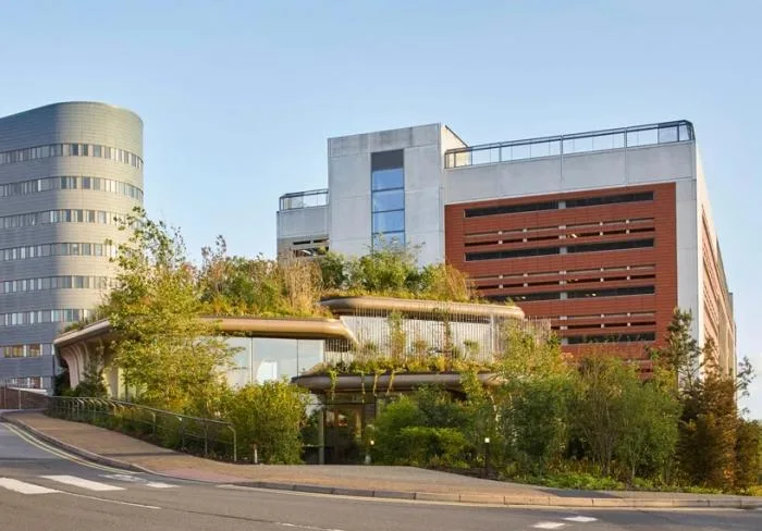 BIM Architecture | Heswick's New Work: Maggie Cancer Care Centre in Leeds, a Life friendly 'Plant Vine Frame'