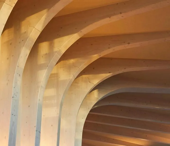BIM Architecture | Heswick's New Work: Maggie Cancer Care Centre in Leeds, a Life friendly 'Plant Vine Frame'