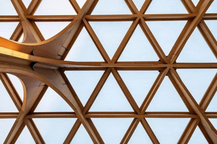 BIM Architecture | Hexagonal 'Hive' Shaped by Simple Geometry: Yangjiadun Branch of Hangzhou Pule Kindergarten/Goa Elephant Design