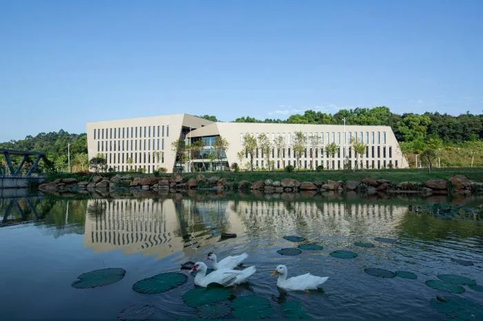 BIM Architecture | Guangzhou NetEase Headquarters/Dongyi Architecture