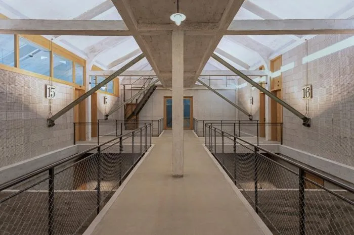 BIM architecture | Wall covered with deep 'eyes', renovation of abandoned barns